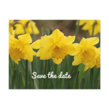 Salvar o Cartão-postal de data