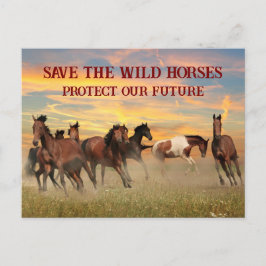 Cartão Postal Salvar os cavalos selvagens