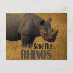 Cartão Postal Salvar os rinocerontes