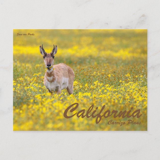 Cartão Postal Salve nossos Parques (Frente)