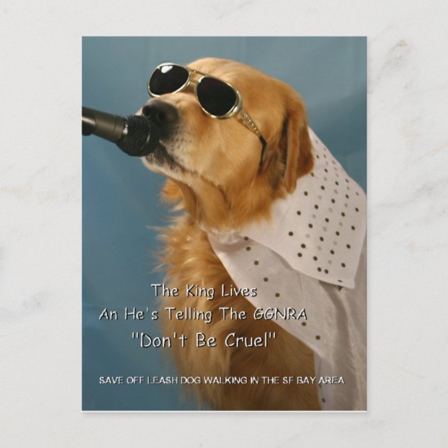 Cartão Postal Salve o Cachorro Desligado Caminhando Boxer do Sen (Frente)