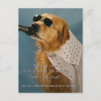 Cartão Postal Salve o Cachorro Desligado Caminhando Senador Fein