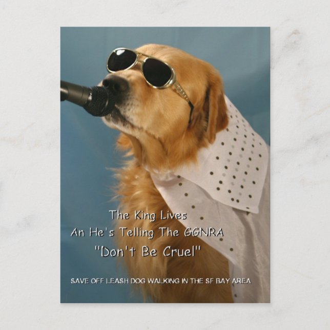 Cartão Postal Salve o Cachorro Desligado Caminhando Senador Fein (Frente)