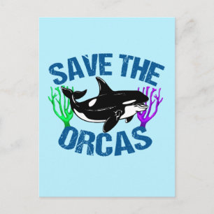 Cartão Postal Salve o Orcas Cute