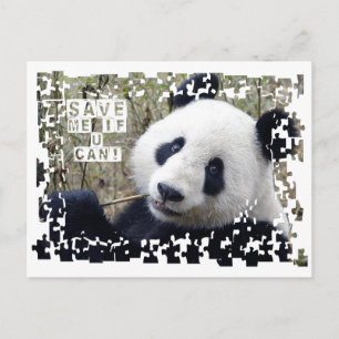 Cartão Postal Salve O Panda Gigante