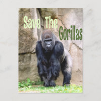 Salve Os Gorilas