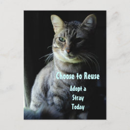 Cartão Postal Salve Uma Vida! Adote Um Prateleira!