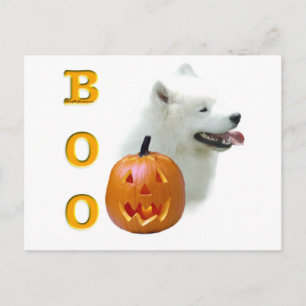 Cartão Postal Samoyed Boo