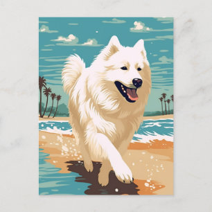 Cartão Postal Samoyed na praia