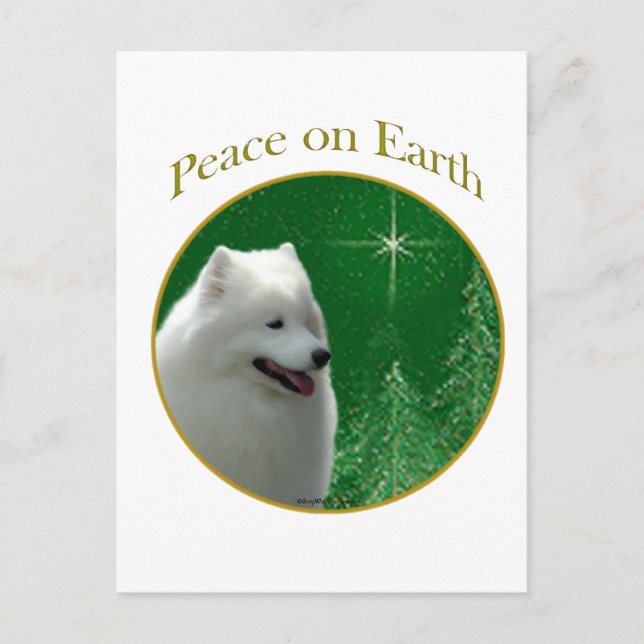 Cartão Postal Samoyed Peace (Frente)