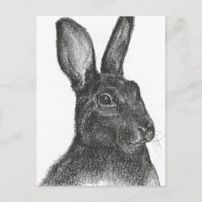 Cartão Postal Samuel L Jackson (Frente)