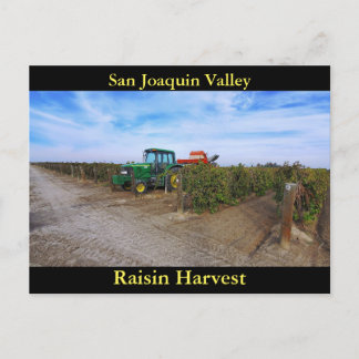Cartão Postal San Joaquin Valley Raisin Harvest