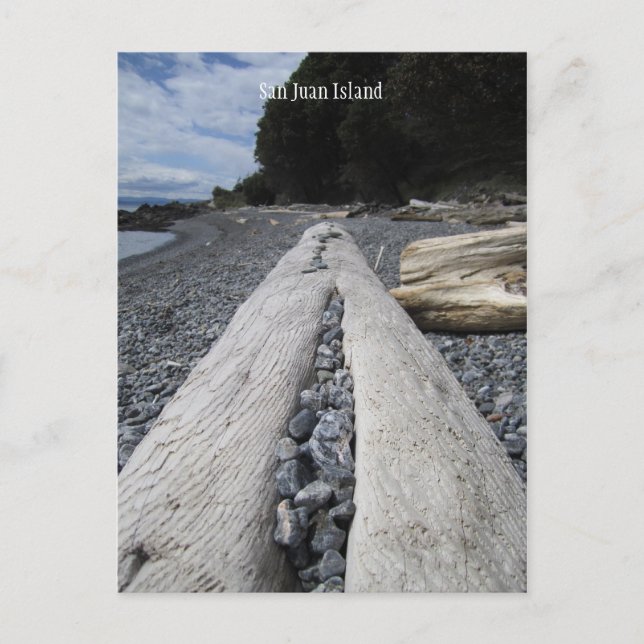Cartão Postal San Juan Island (Frente)