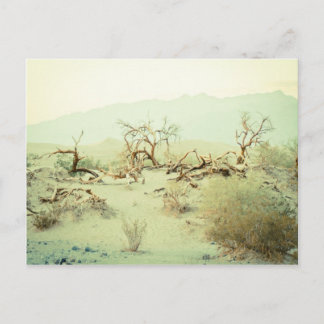 Cartão Postal Sand Dunes of Death Valley