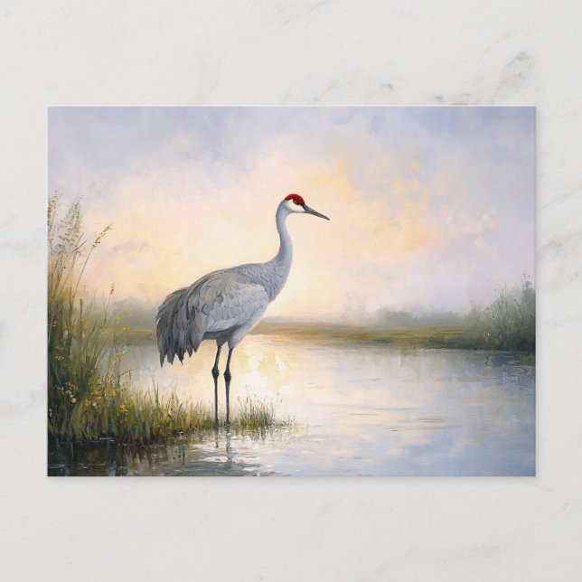 Cartão Postal Sandhill Crane Painting (Frente)