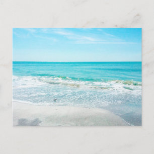 Cartão Postal Sandpiper Tropical Florida Beach Sand Ocean Waves