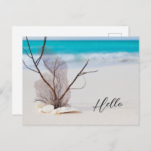 Cartão Postal Sandy Beach com White Seashells Hello (Frente/Verso)