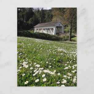 Cartão Postal Sandy Cr. Ponte coberta