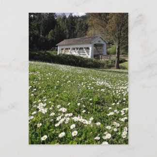 Cartão Postal Sandy Cr. Ponte coberta