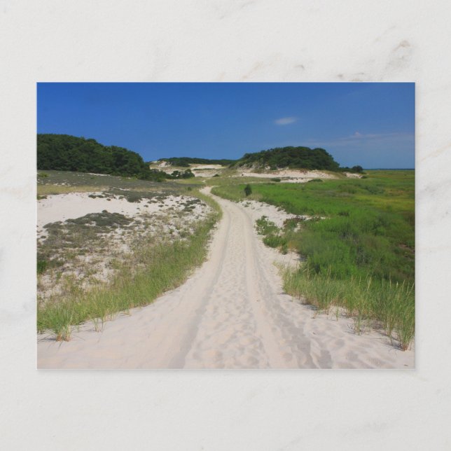 Cartão Postal Sandy Neck Beach Marsh Trail Barnstable Cape Cod (Frente)