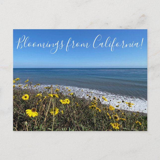 Cartão Postal Sangue da Califórnia! (Frente)