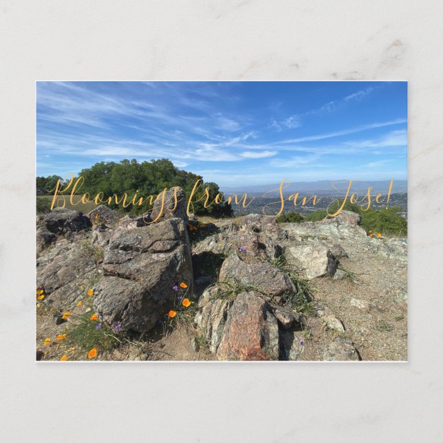 Cartão Postal Sangue de San Jose! (Frente)