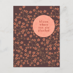 Cartão Postal Sangue Onde Você Está Plantado