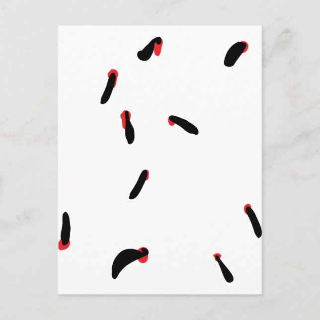 Cartão Postal sanguessuga - sanguessuga (Frente)