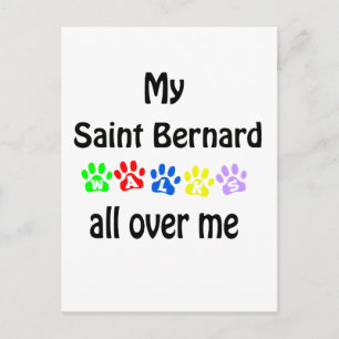 Cartão Postal Santo Bernard Walks Design