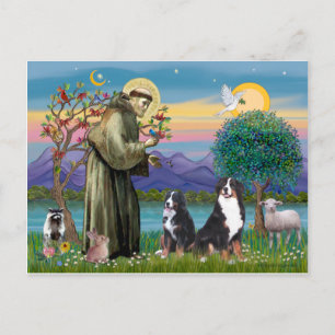 Cartão Postal Santo Francis - Dois Cães de Montanha Berneses