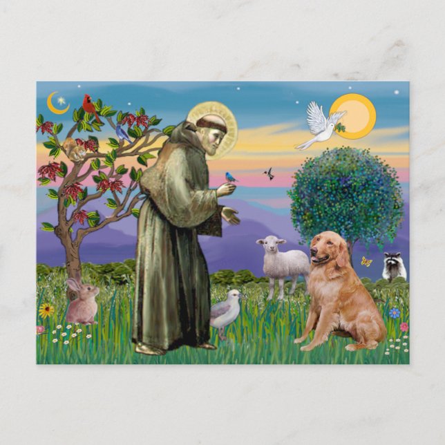 Cartão Postal Santo Francis - Retriever Ouro ( nº 1) (Frente)
