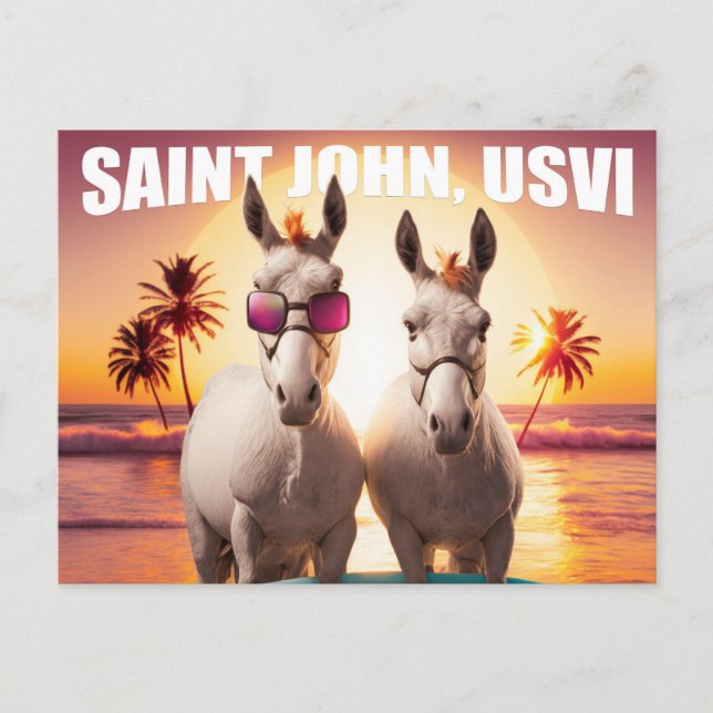 Cartão Postal Santo John USVI Donkeys no Beach Funny Unique (Frente)