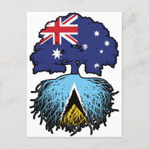 Cartão Postal Santo Lucia Santo Lucian Austrália Árvore Australi