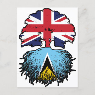 Cartão Postal Santo Lucia Santo Lucian British Tree Roots