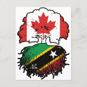 Cartão Postal Santos Kittitian Canada Tree Roots