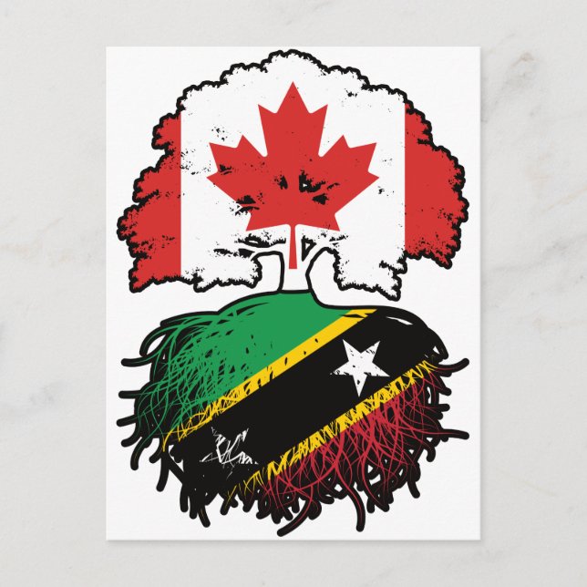 Cartão Postal Santos Kittitian Canada Tree Roots (Frente)