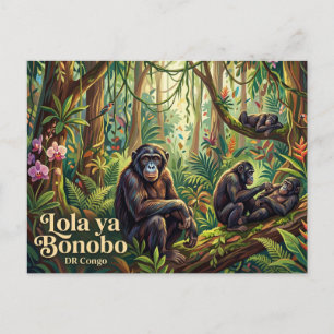 Cartão Postal Santuário de Bonobos Lola ya