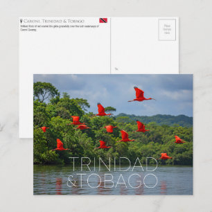 Cartão Postal Santuário de Pássaros de Caroni, Trinidad e Tobago