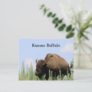 Cartão Postal Santuário de Vida Selvagem Maxwell colorido do Kan