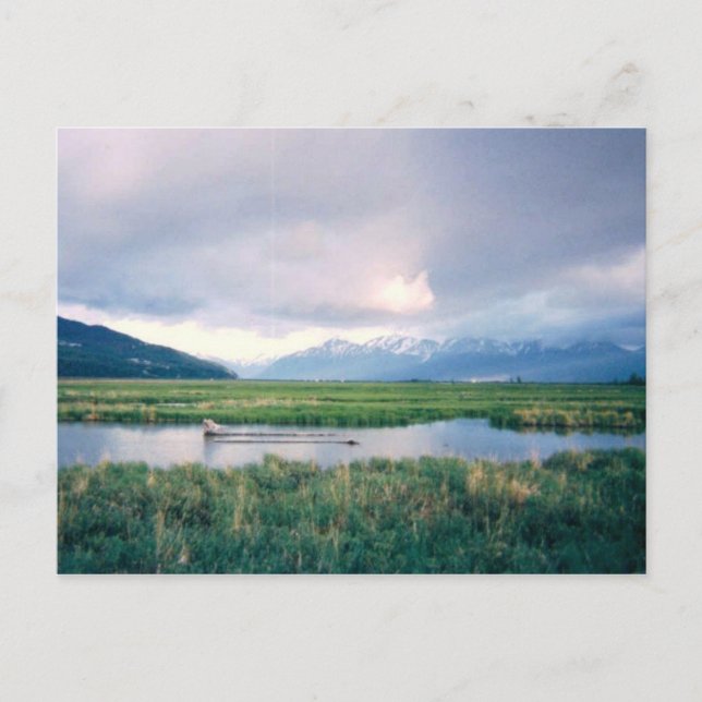 Cartão Postal Santuário do Alasca (Frente)