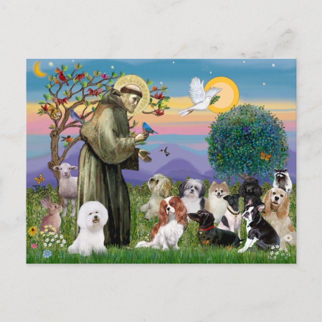 Cartão Postal São Francisco com 10 Cães (Frente)