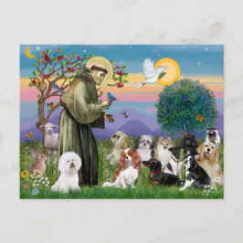 Cartão Postal São Francisco com 10 Cães