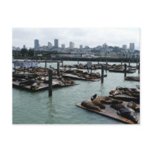 São Francisco e Leões Marinhos do Pier 39 Silhueta