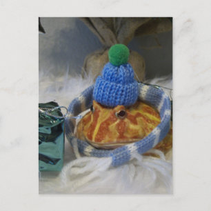 Cartão Postal Sapo