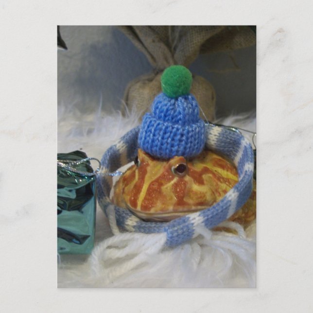 Cartão Postal Sapo (Frente)