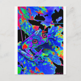 Cartão Postal Sapo Camo