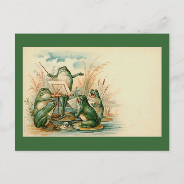 Cartão Postal "Sapo Chorus" (Frente)