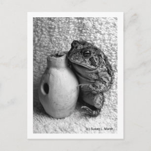 Cartão Postal Sapo com fotografia de percussão udu
