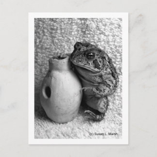 Cartão Postal Sapo com fotografia de percussão udu