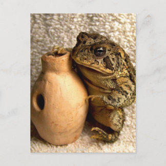 Cartão Postal Sapo com miniatura de fotografia udu
